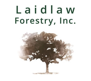 Laidlaw Forestry, Inc.